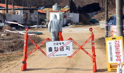 “백신 접종만 맡기고 감독 안했다”…3대 가축전염병 동시 창궐에 비상 - 매일경제